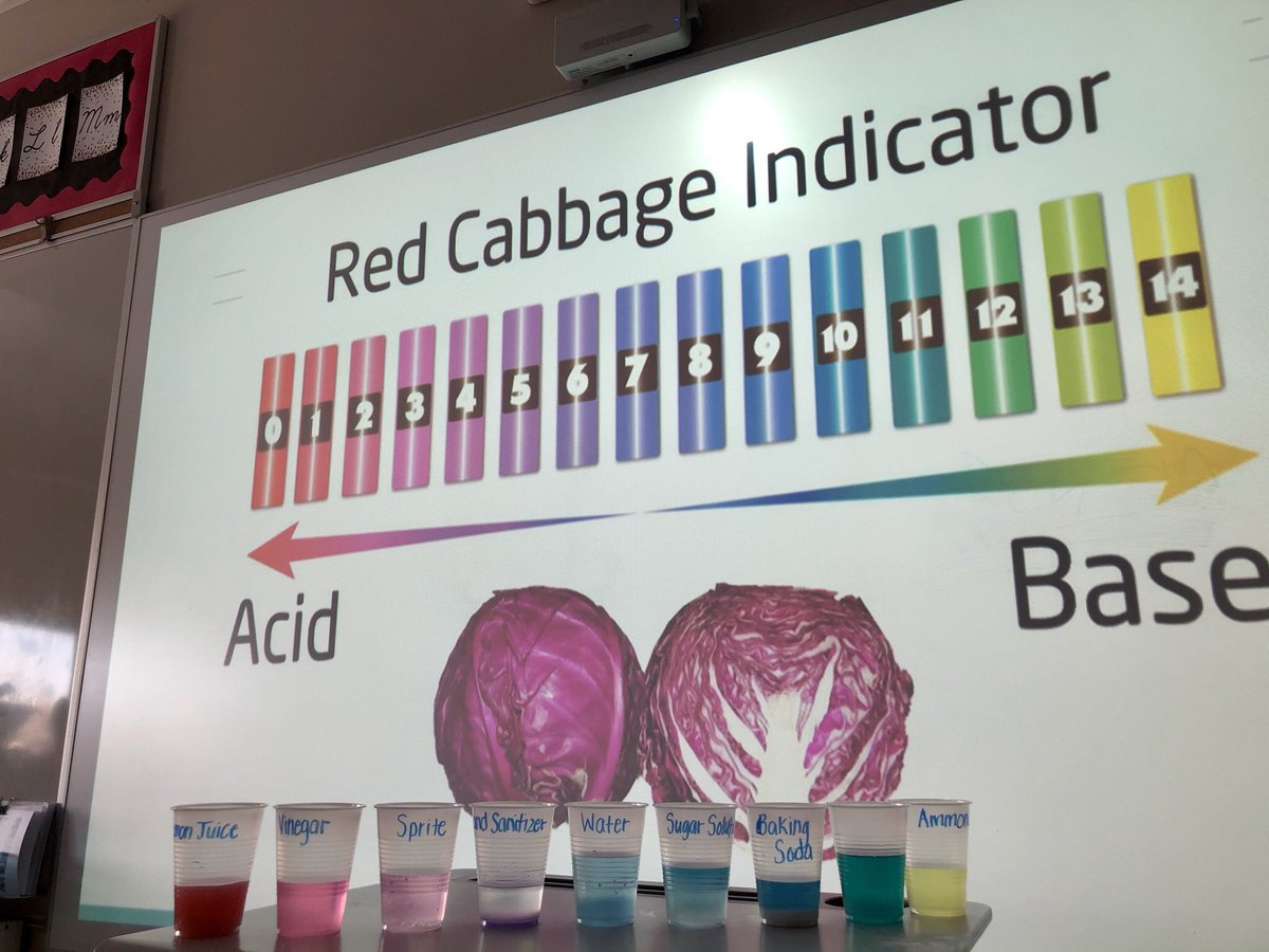 teachingholmes's tweet photo. Some of the many hands-on experiments I did in our Classroom Chemistry unit! Pictured are salt crystals, oobleck, lava cups, &amp; pH indicators. We wrapped up the unit with a peer-teach experiment with choices of slime, Diet Coke &amp; Mentos, or elephant toothpaste! #grade5 #science https://t.co/G4ofXpoZBu