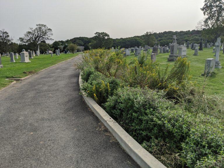 Mt. Olivet Cemetery received 2nd place for best BMP retrofit in the 2021 BUBBAS. With impervious area removal, tree plantings &amp; green infrastructure, the project now captures about 5 mil gallons of runoff per year! nature.ly/38NuTln