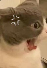 เจ้าสัว tweet media