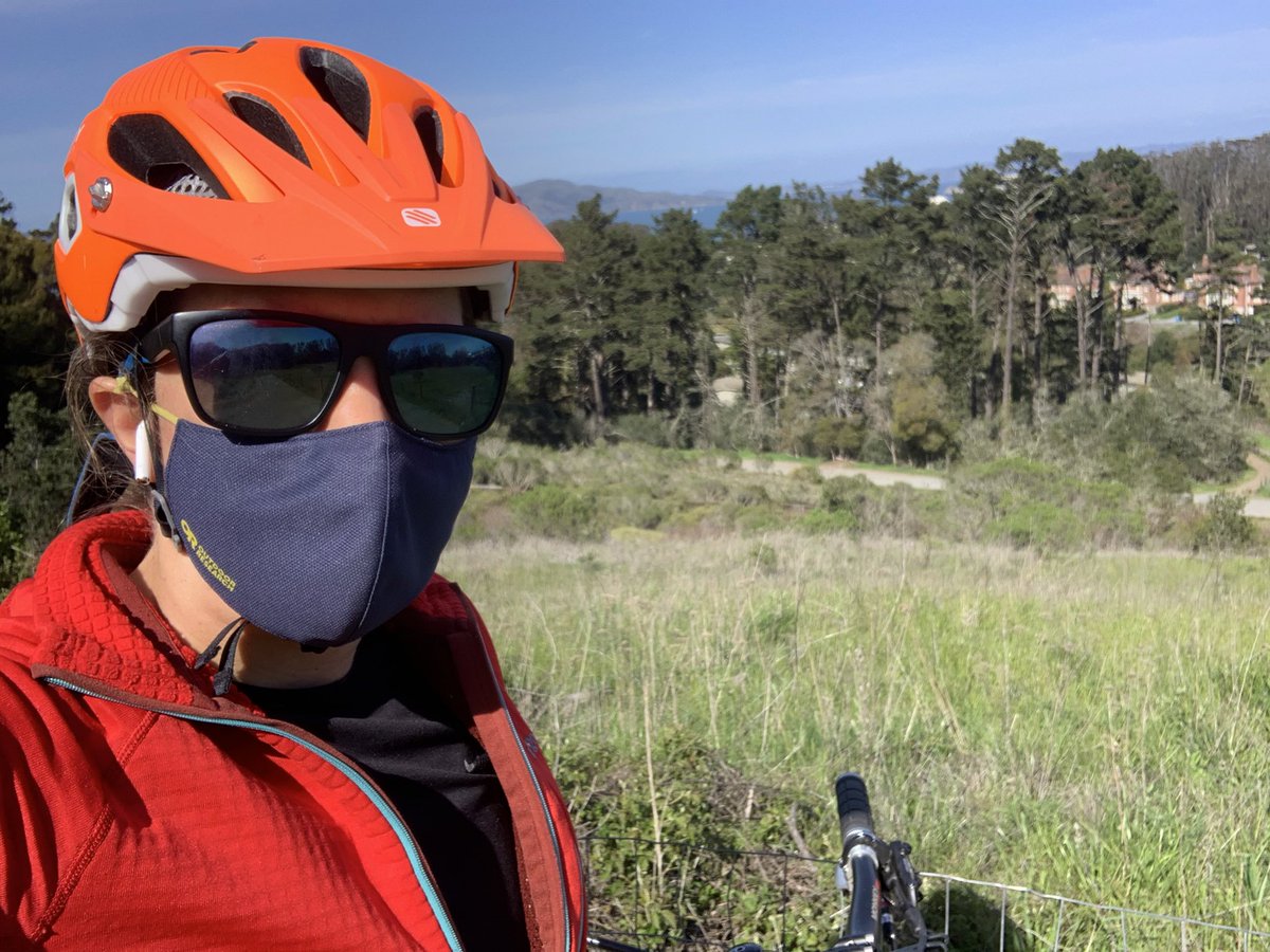 Milo Werner tweet media