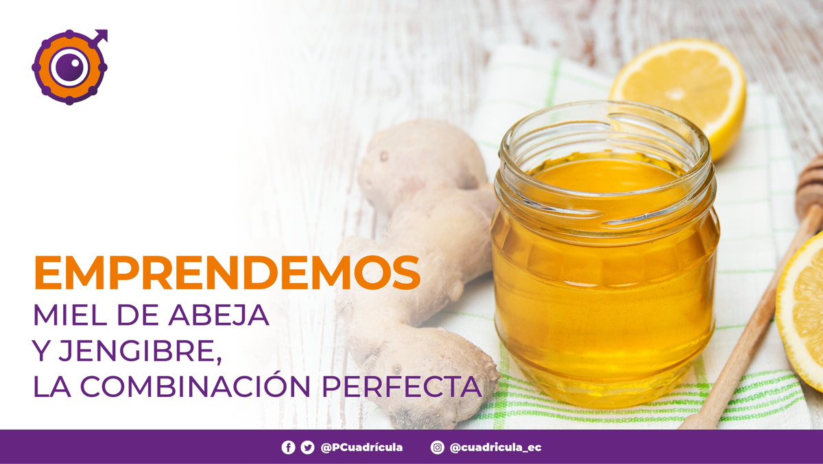 PCuadricula's tweet photo. Un nuevo producto sale de la mano de La Comarca. Pedidos al 0985546269.

Video: https://t.co/LvEoVkpn8O
.
.
¡Síguenos en todas nuestras redes sociales para más contenido!
.
.
#ecuador #cuadricula #quito #mielquito #miel #jengibre #mielconjengibre #lacomarca #emprendimientos https://t.co/xXw478ilnB