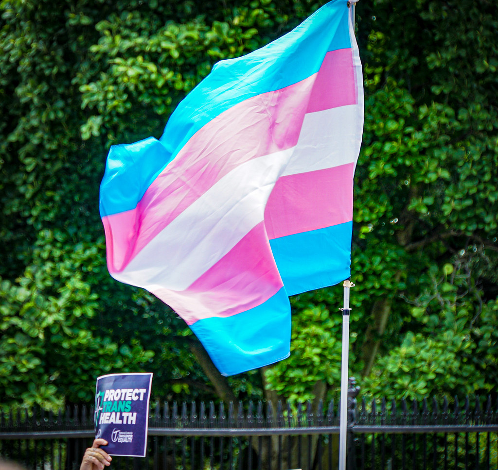 SelflessPotato's tweet photo. Friendly reminder that #TransRightsAreHumanRights #TransWomenAreWomen #TransMenAreMen and #TransIsBeautiful

Hope everyone had a good day! https://t.co/ZqByH4KxF1