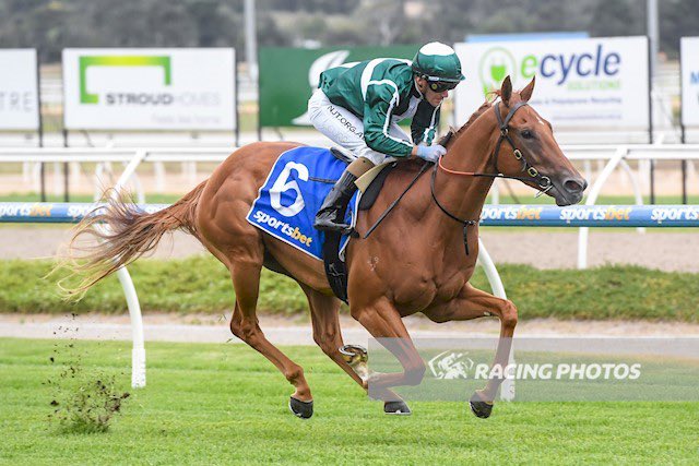 Grahame_Begg's tweet image. Today @MelbRacingClub Sandown.
Race 2. Nightfire &amp;amp; Race 5. Setups. Both to be ridden by Luke Currie.