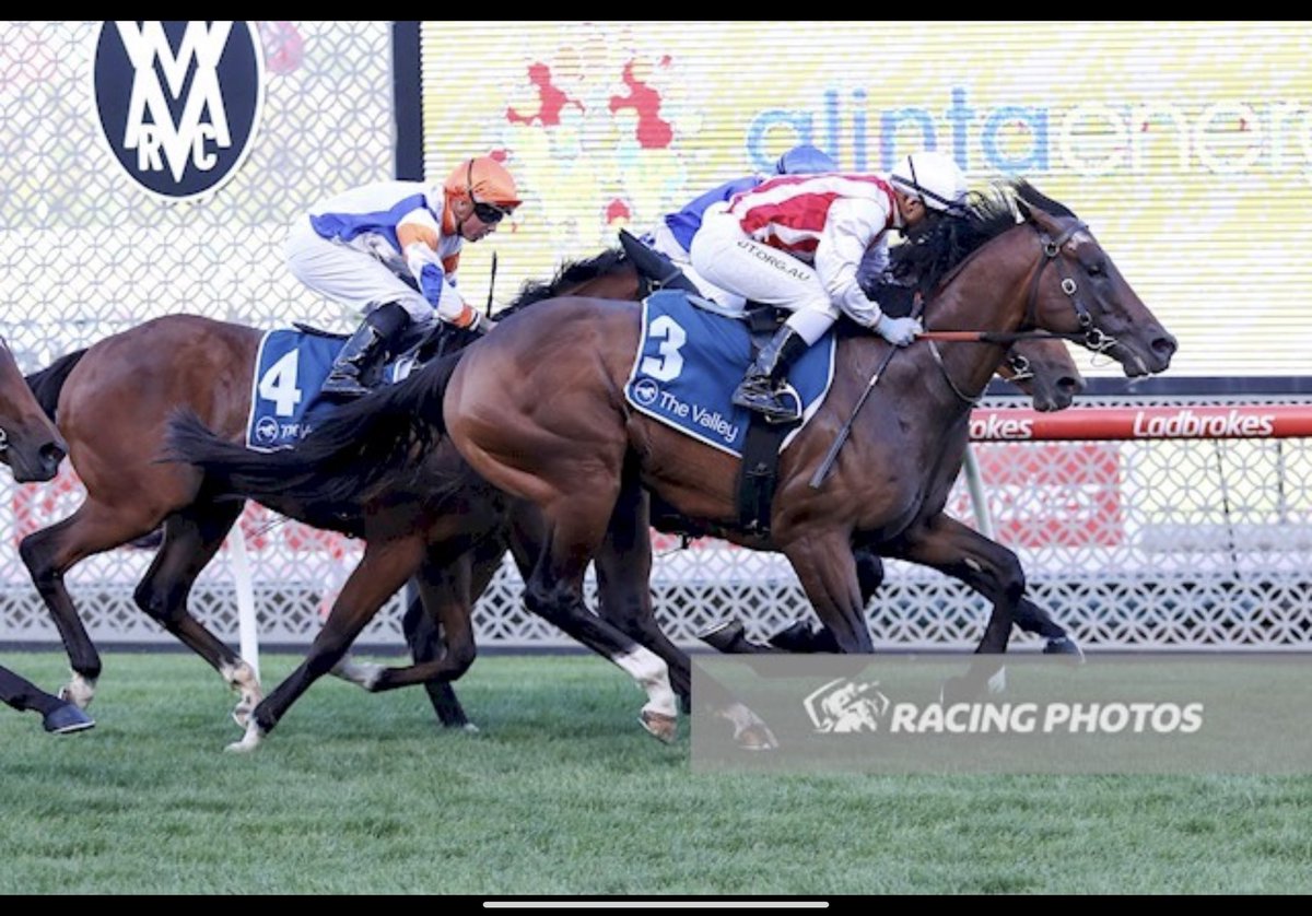 Grahame_Begg's tweet image. Today @MelbRacingClub Sandown.
Race 2. Nightfire &amp;amp; Race 5. Setups. Both to be ridden by Luke Currie.