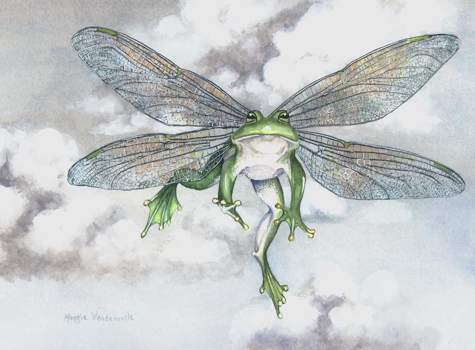 The peepers are out in force tonight. Etsy.com/shop/hijinxede…
#Frog #nightsong #watercolor #painting #hijinxedetc
#maggievandewalle