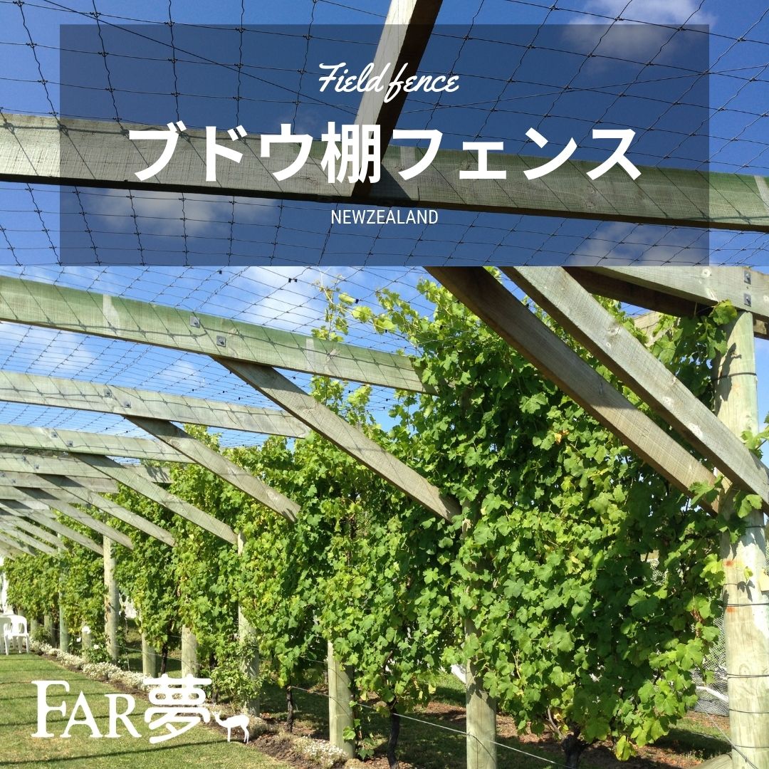 ファームエイジ Far夢 が目印 しっかりした 木柱 と強度があるフェンスだからこそできることですね 日本のガーデンでも取り組めそうな アイディア です ご興味のある方は ご自身の ガーデン で取組んでみてはいかがでしょうか ブドウ 葡萄