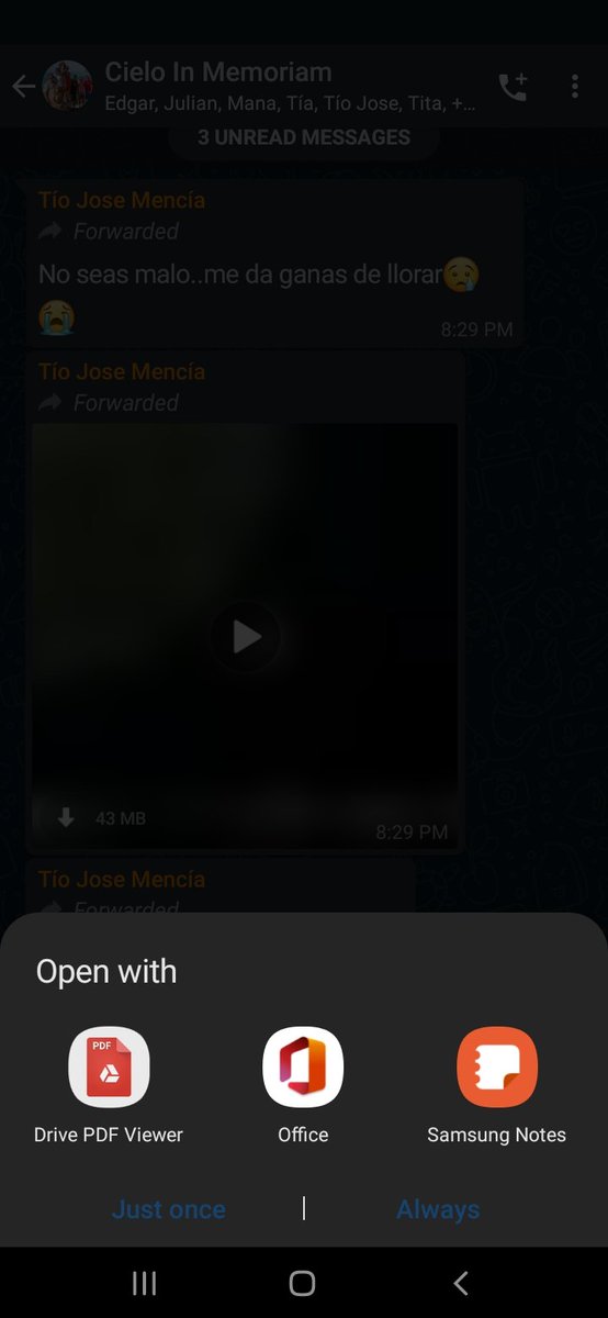 RadGom's tweet photo. POR QUÉ DIABLO HAY QUE COMPLICARSE TANTO PARA VER UN PDF!? MMG, ÁBRELO Y YA! ODIO ANDROID. https://t.co/Vl0DsrjjfF