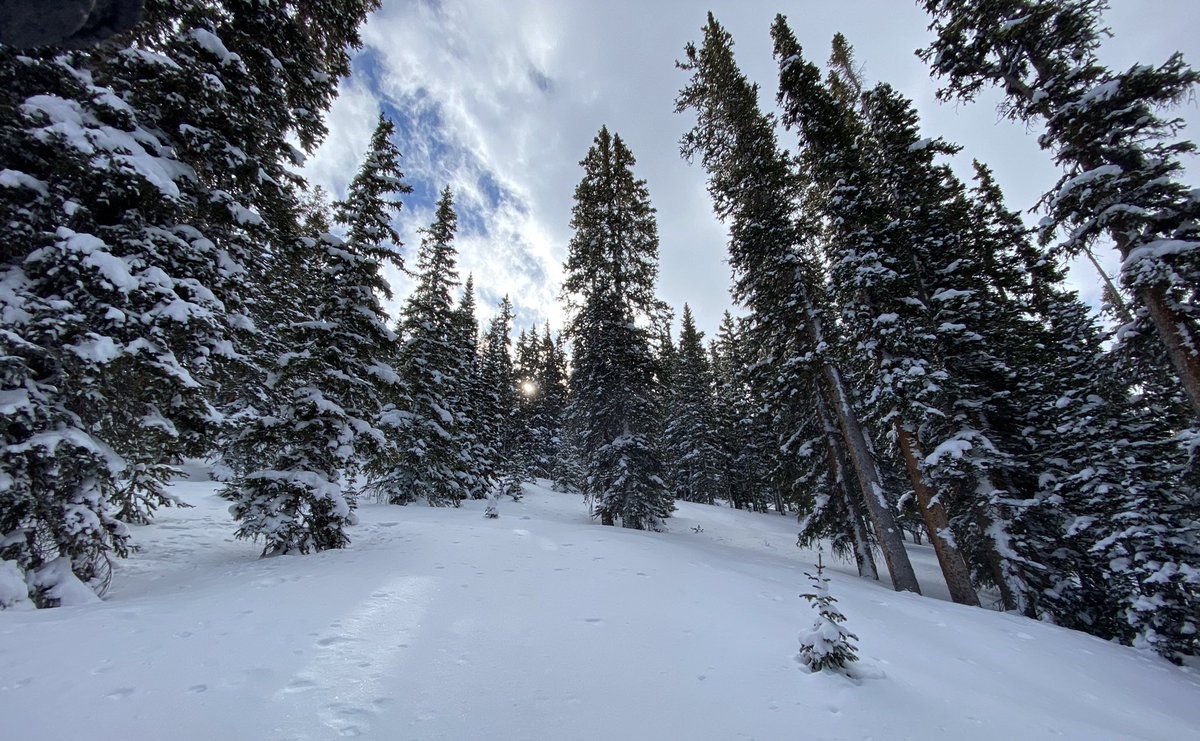 cmoryl's tweet photo. Stop and turn around sometimes. Take in the views. #snowboarding #Colorado #keystone https://t.co/CQ3j6IDtoB