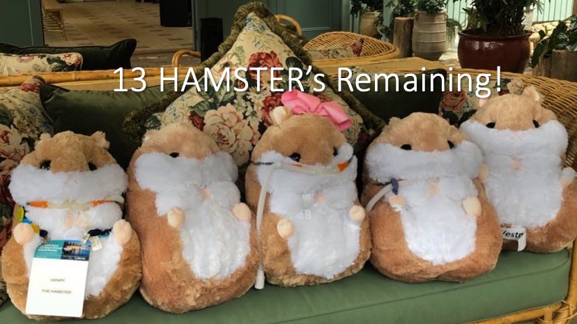The HAMSTER Trial (@hamstertrial) on Twitter photo We are very excited to say only 13 Hamster are remaining. Thank you to all site and families for making this trial so successful <a href="/ctn_anzca/">ANZCA Clinical Trials Network</a> <a href="/SHumptyDumpty/">Susan Humphreys</a> <a href="/ANZCA/">ANZCA</a> <a href="/fphcare/">Fisher & Paykel Healthcare</a> #CTN21 #ARCN We are very excited to say only 13 Hamster are remaining. Thank you to all site and families for making this trial so successful <a href="/ctn_anzca/">ANZCA Clinical Trials Network</a> <a href="/SHumptyDumpty/">Susan Humphreys</a> <a href="/ANZCA/">ANZCA</a> <a href="/fphcare/">Fisher & Paykel Healthcare</a> #CTN21 #ARCN