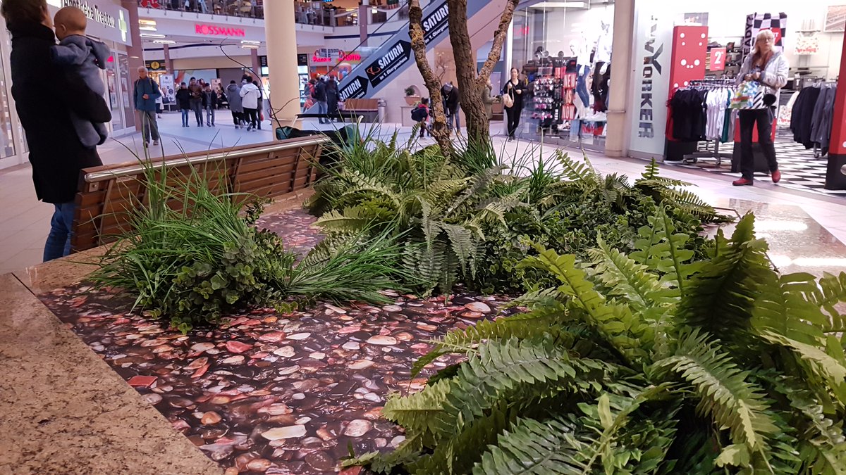 30000fps tweet media