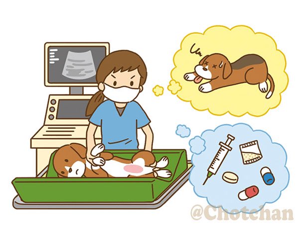 超音波検査のtwitterイラスト検索結果 超音波検査のtwitterイラスト検索結果
