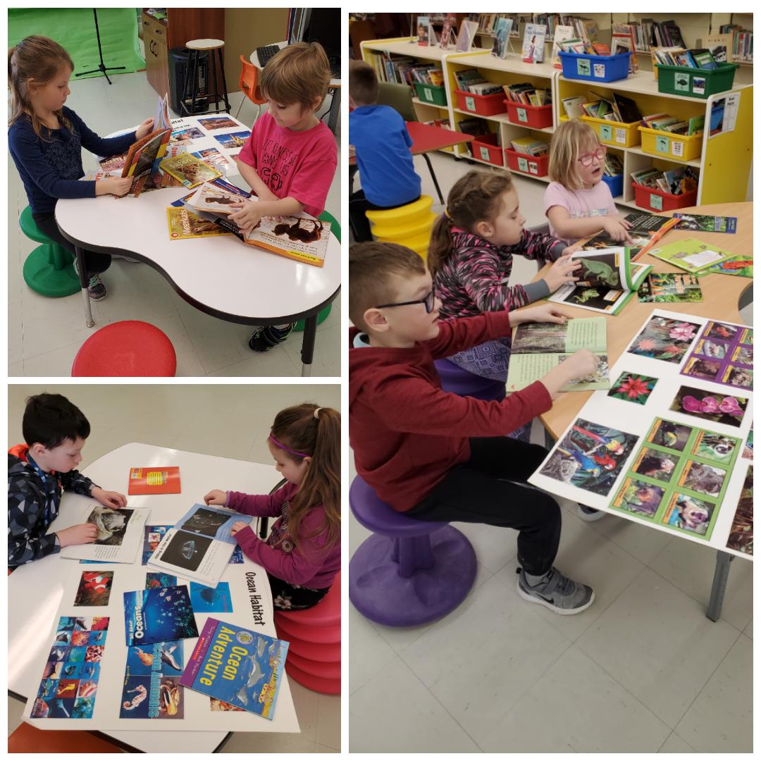 MrsEastonTL's tweet photo. These kindergarteners AMAZED me with their collaboration, communication and creativity when it came to learning about and building habitats. Way to go, Class K-1! 🤯👏 #LearningCommons #CanadianSchoolLibraries @Elwoodelementar @NLESDCA https://t.co/zFuXmYOvN3