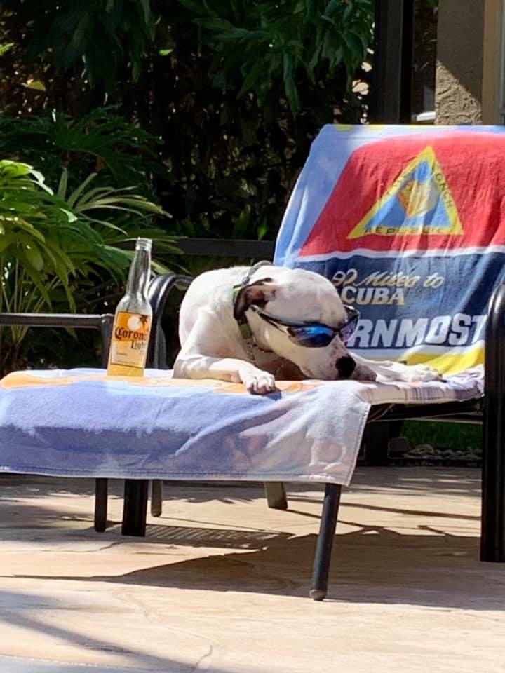 Russell71845359's tweet photo. @DougESPN Sami in lake worth fl https://t.co/RbJMJtrbHu