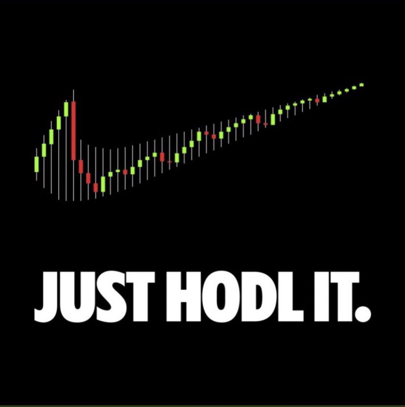 JoesHoloHideout's tweet photo. Honestly I’m very proud with #Dogecoin’s progress today. Shows me people are learning to buy and #HODL! Keep it up and watch #DogecoinRise 😎
#Dogecoinarmy #dogetothemoon #dogecointoadollar https://t.co/gBdnxmqdFt