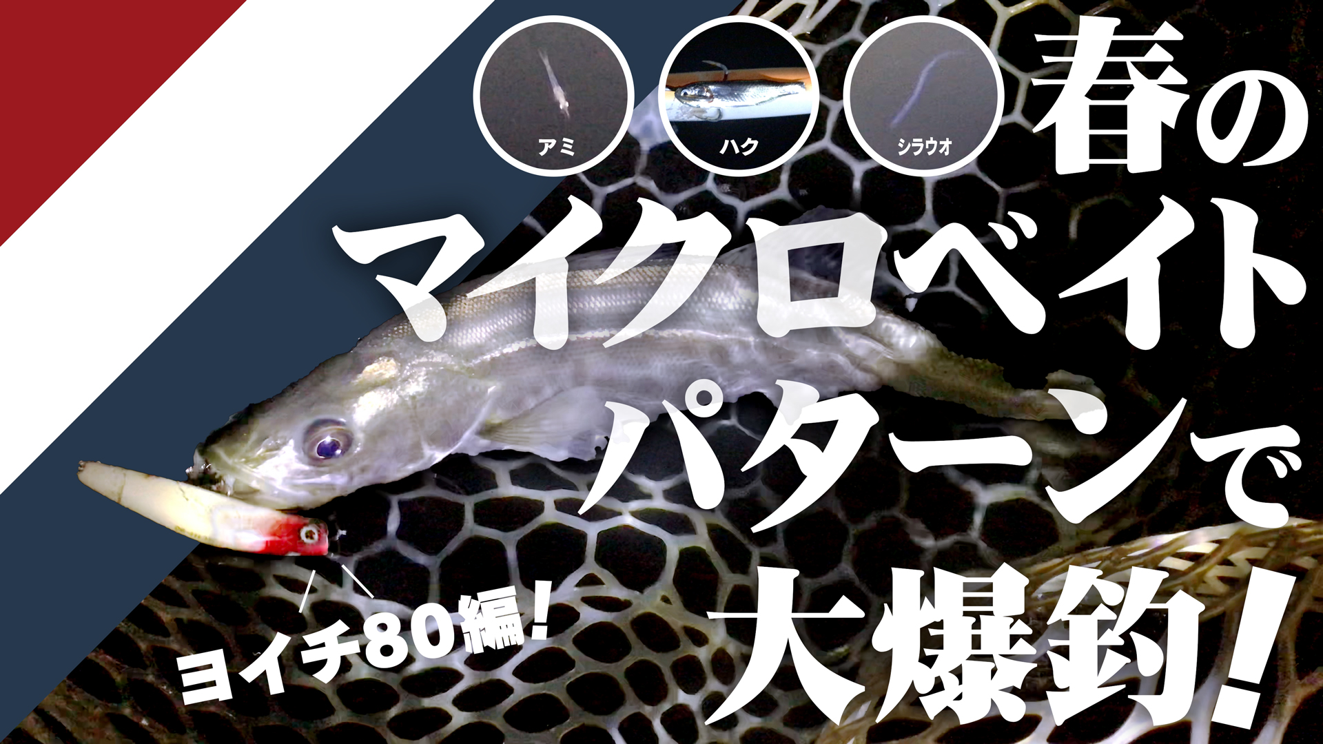 Luretist 春のシーバスといえばマイクロベイトパターンですよね 難攻不落のマクロベイトパターンで大爆釣した動画を2回に分けてお届けします 初回はヨイチ80編です T Co Xct5wqhq9b シーバス マイクロベイトパターン ハク アミ シラウオ