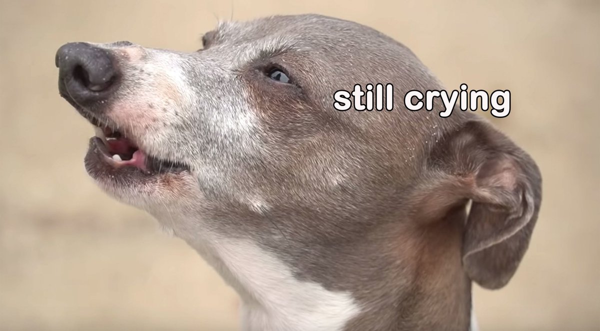 jumpingnarwhal's tweet photo. Therapist: how would you rate your anxiety lately?
Me: oh Uhm, on a scale of 1-kermit the dog? I'm about here https://t.co/qqUaycle0w