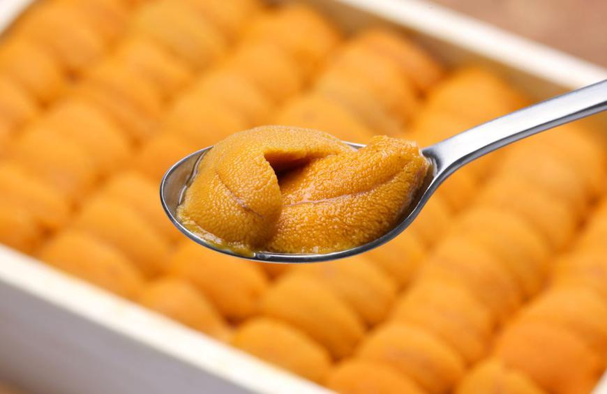 🦞🦀🦑カイ🦑🦀🦞 tweet media