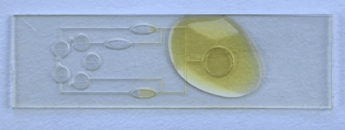 🎙昨日のラジオをツイートするのを忘れていました💦

マイクロ流体チップによる農業用分析デバイスを開発したNordetectをご紹介しました。
今月に約1億6千万円を調達しました。

stand.fm/episodes/60503…

🍎Appleポッドキャストでも配信しています。

#アグテック