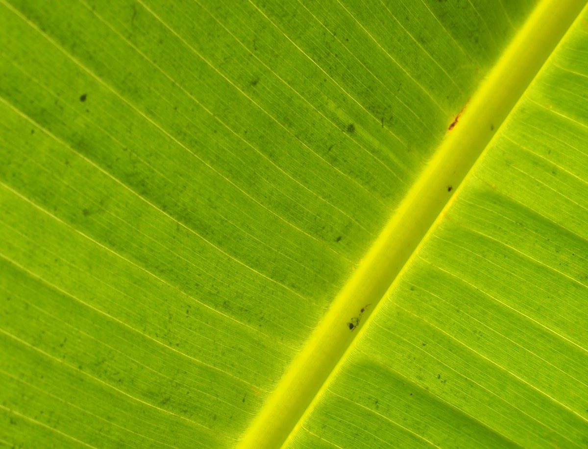 Peter Griffin isn’t spending much time here tweet media