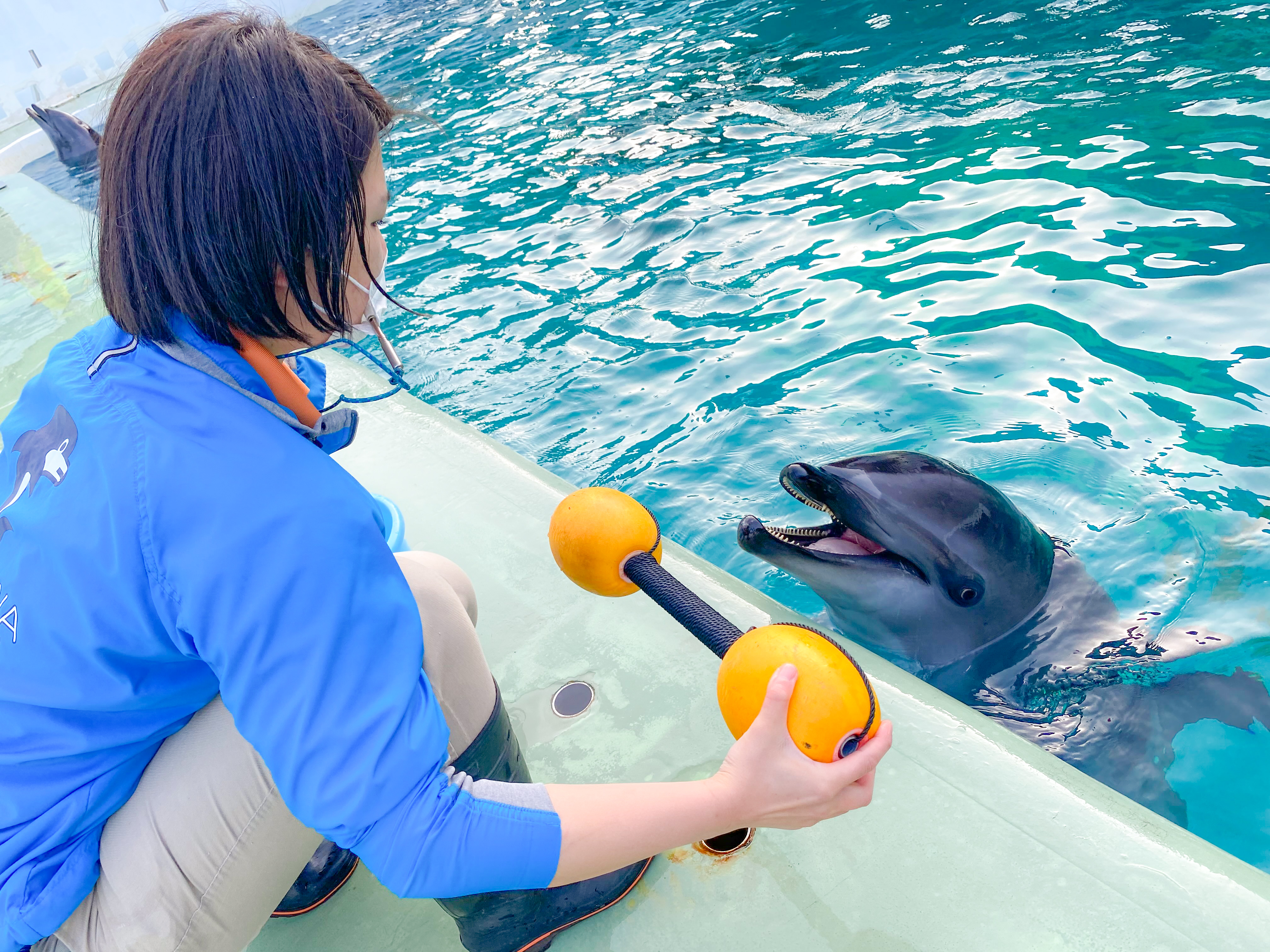 しながわ水族館 on X: 