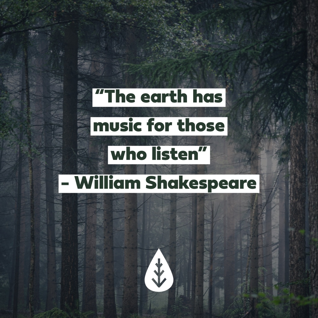 DrizzleAppCo's tweet photo. Take a moment and listen to the earth 🌲🔈⁠ https://t.co/cHJrzfXB3s