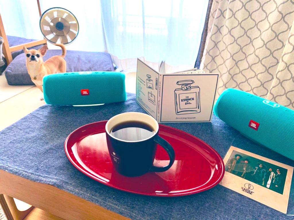 mamekichi0311's tweet photo. また聴いてる☕️
この時間だから音量上げて。
(音がすごくいい...)

かけたら聴いているみたいにジーッと見てる...と思いきや、もの凄い勢いでマッサージチェアに飛び乗って延々ゴロンバタン。曲の疾走感に合ってるけど一体どした😂？

#soilandpimpsessions
#theessenceofsoil https://t.co/OxogDVJANW