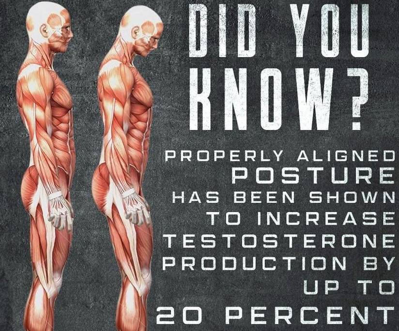 PERFECTORE™ tweet media