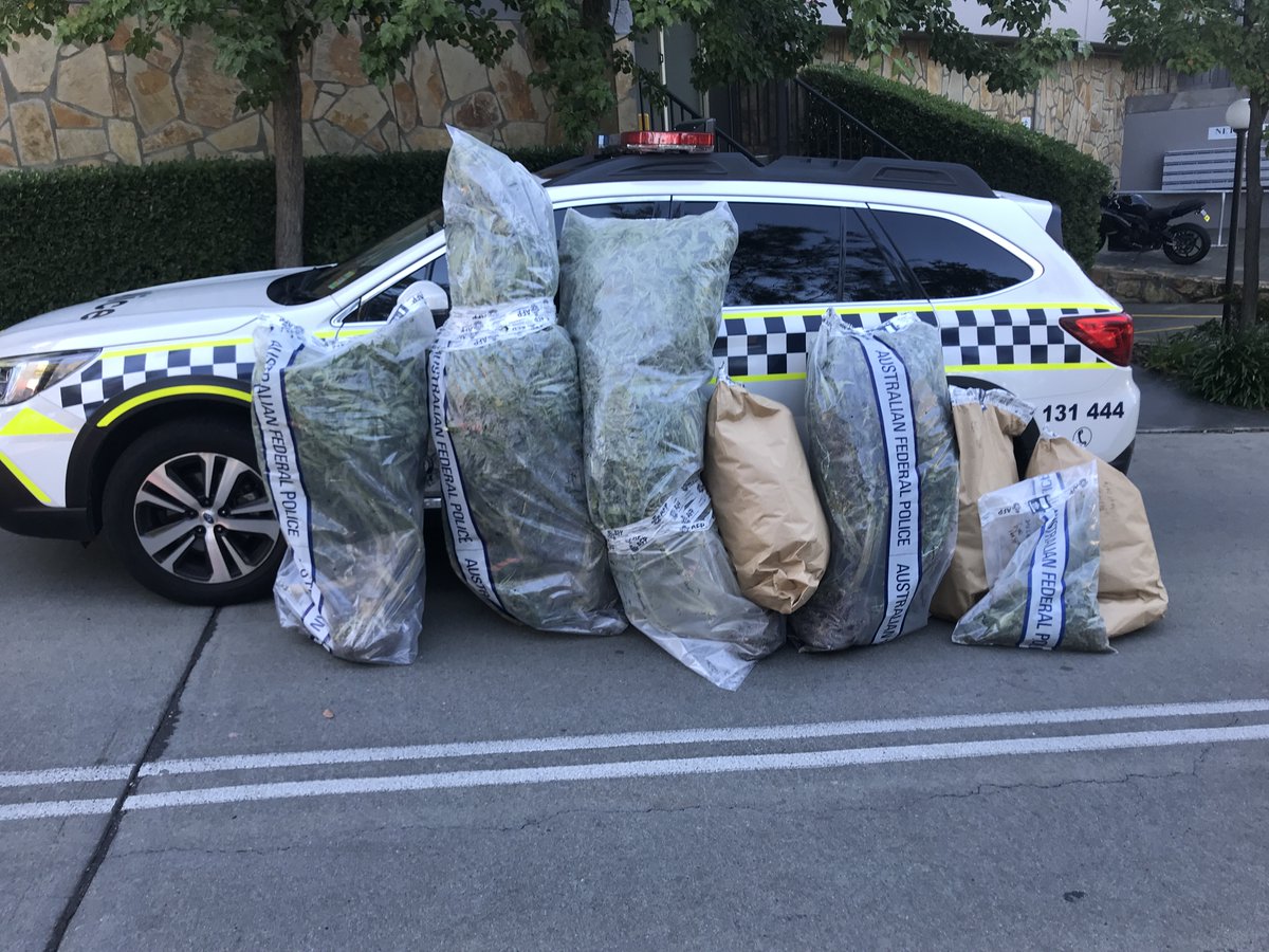 ACTPolicing's tweet photo. ACT Policing has issued a reminder to Canberrans not to exceed the two per person limit regarding personal cannabis plants, following the confiscation of four plants from a 42-year-old Belconnen man. More: https://t.co/MatCF46W04 https://t.co/Qc6dtbZs19