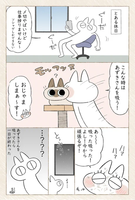 猫のおなかに顔を埋めると時間が加速する現象 #シャム猫あずきさんは世界の中心 
