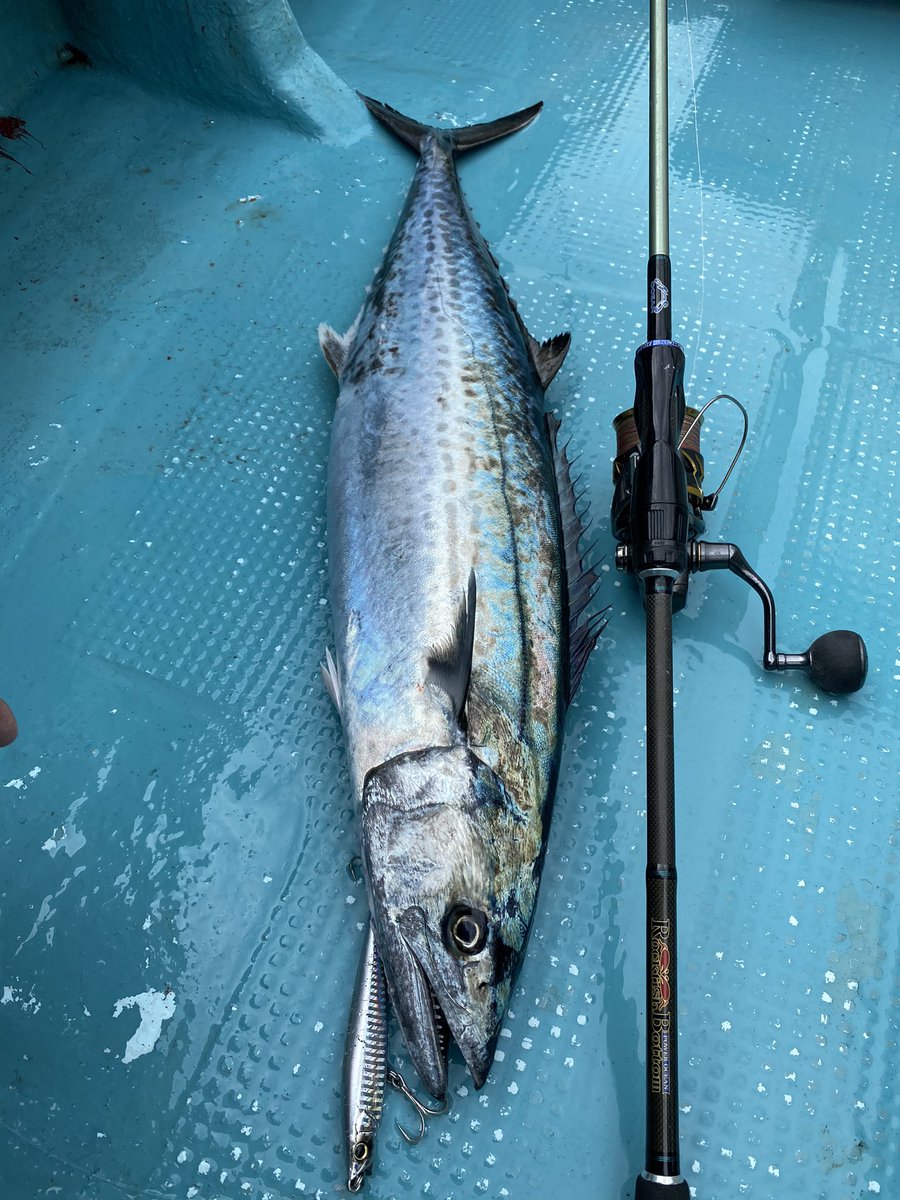 tatsuya0721y's tweet photo. お客様3名で鰆11本
春の魚に出会えました。
近づくと居なくなりますが😂
#DUEL
#モンスターショット110s
#ヘビーショット125s
#キャスティング鰆　
#NORIESOCEAN
#RPO710HS2
#ECOGEAR
#DUELースーパーXワイヤーX4ーPRO1号
#DUELーHARDCOREーパワーリーダー
#大原港
#広布号
#SLJ https://t.co/Zz8vXzHOYr
