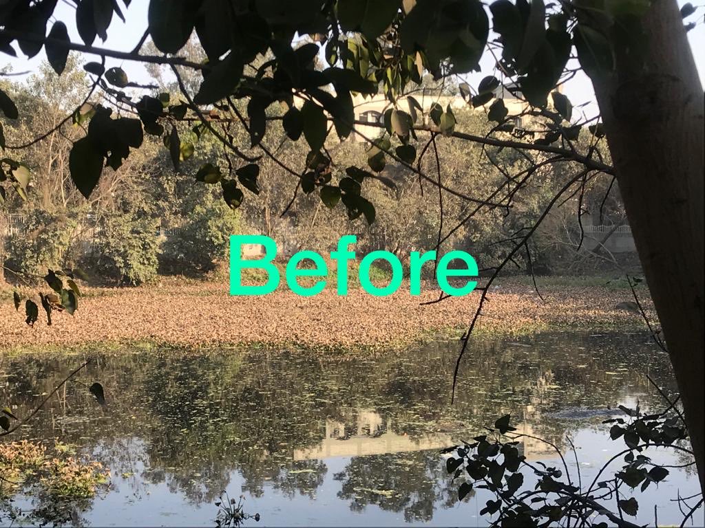 Dheerajdjb's tweet photo. Rejuvenation of water body located at Nangloi in Delhi https://t.co/J37AQYNnLo