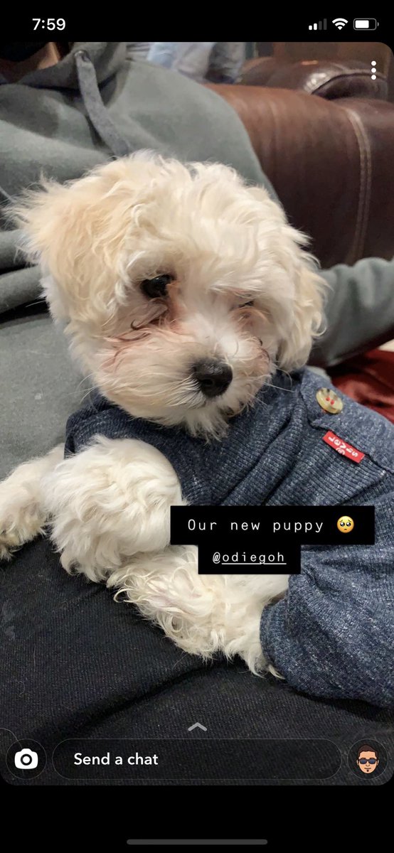 oscarlapagus's tweet photo. Waited weeks but he’s here! https://t.co/etR5a3QDRb