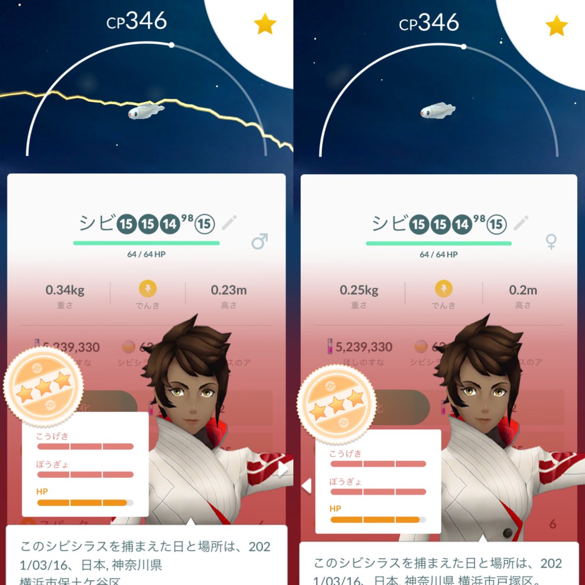Chappy S A Twitter 昨日捕まえたシラスちゃん 2つとも98 重さ 高さが若干違うだけ これは暫く100をひけないパターンだ 図鑑埋めしたいから 進化させちゃおう ポケモンgo Pokemongo シビシラス