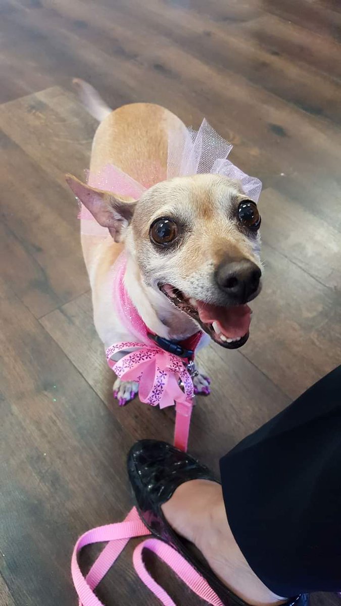 instagram.com/p/CMJVAoRBzxo/…