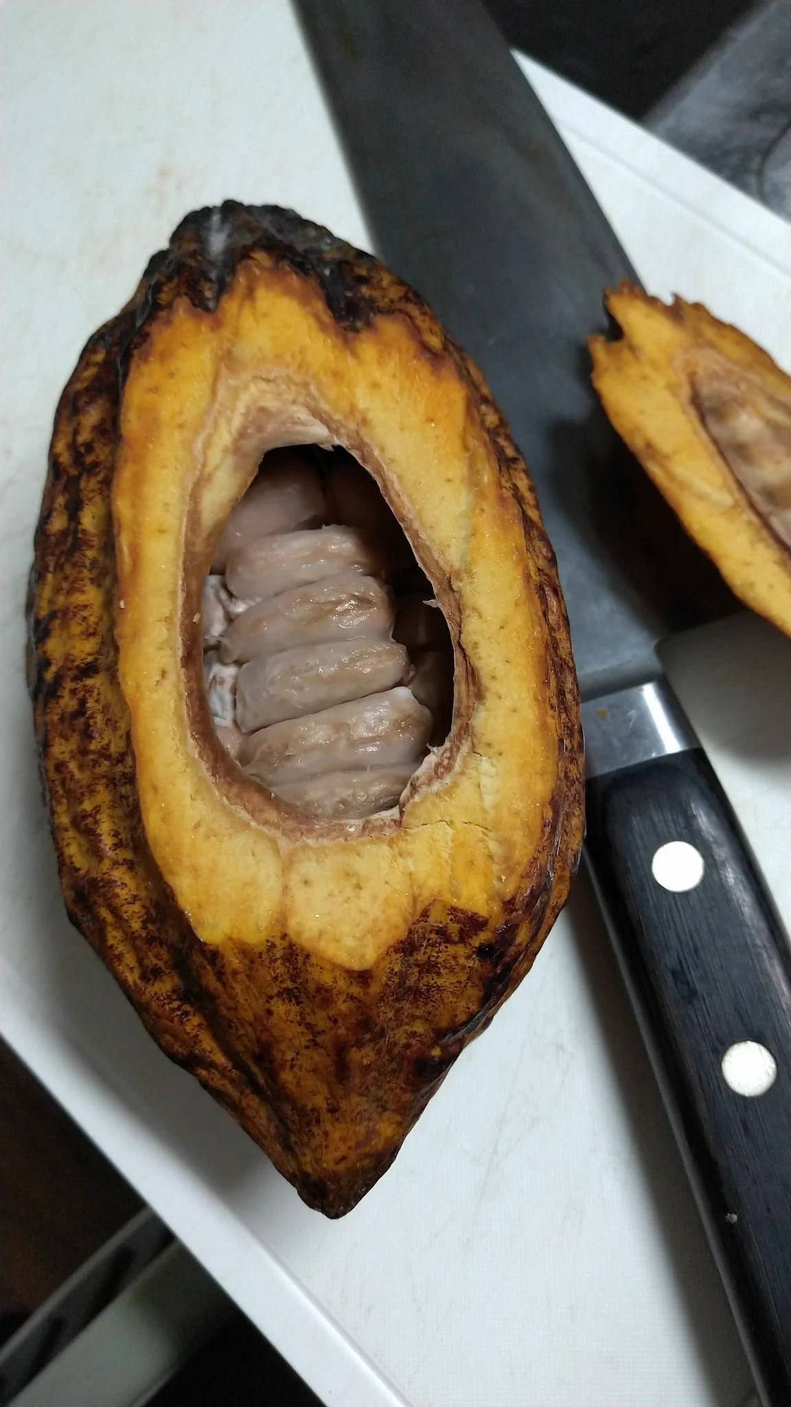カカオの実からチョコレートを作る！1ヵ月もかかったけどやり遂げた！