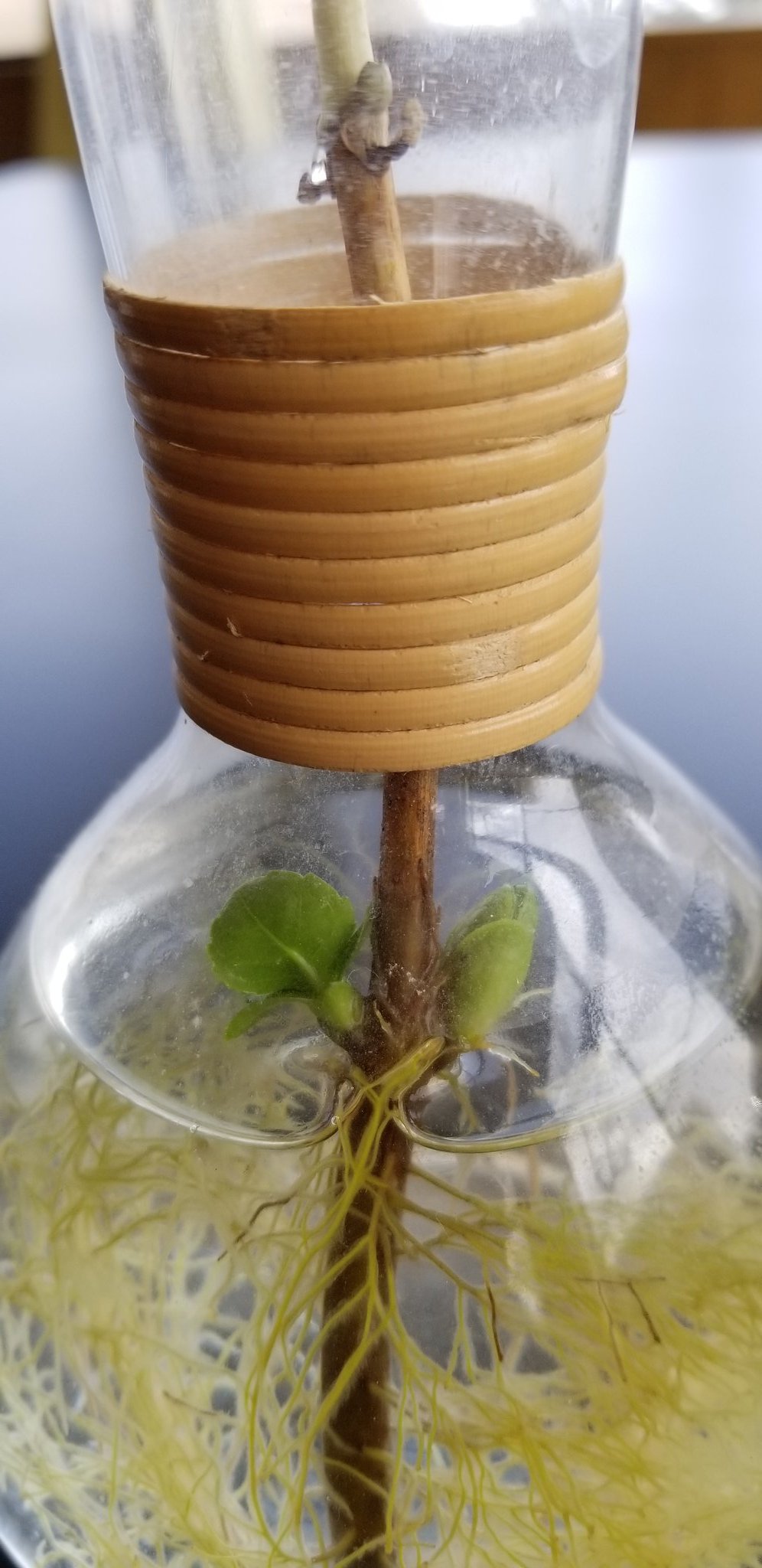 See Newootakaotaka S Tweet Twitter