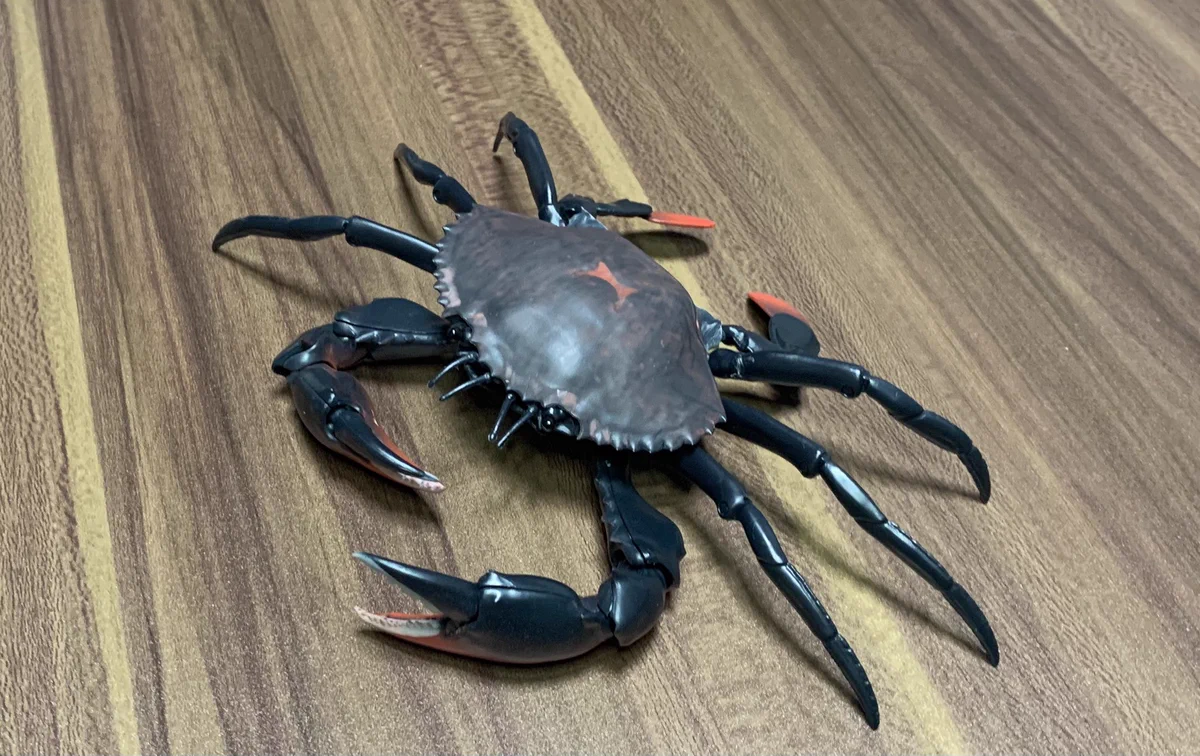 今売っているカニのガチャガチャ！脚だけいろいろなものに付けられるのがポイント高い！