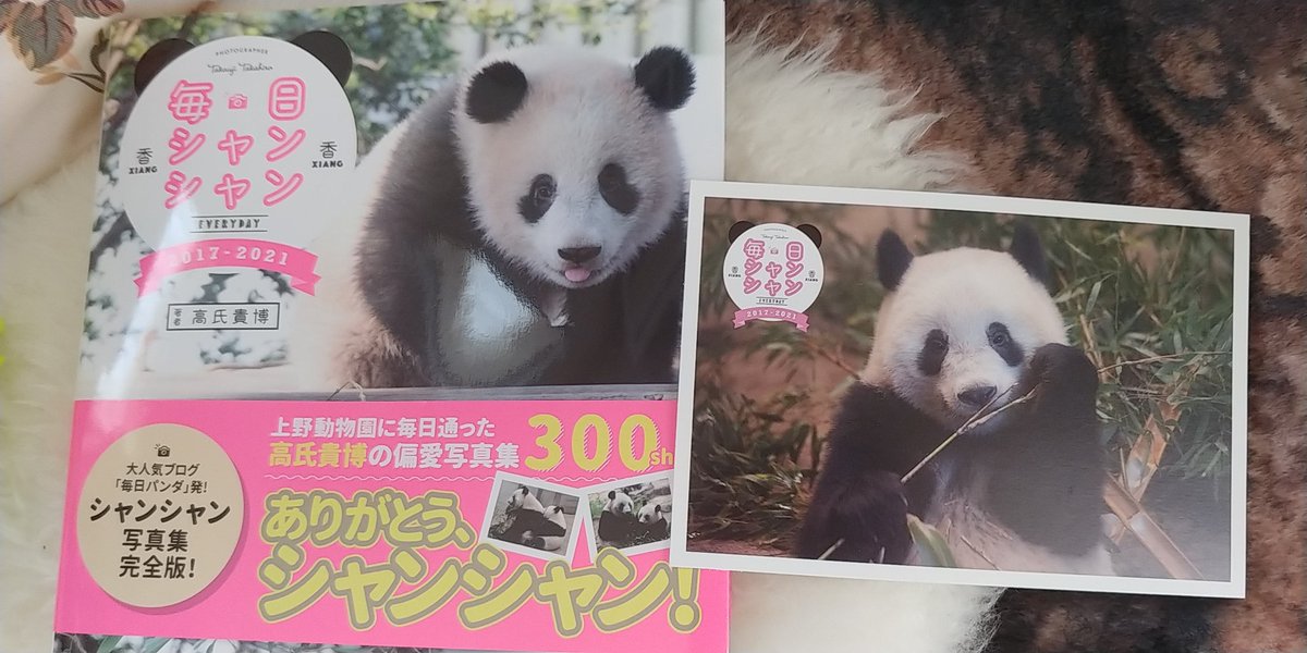 毎日シャンシャン 毎日シャンシャン