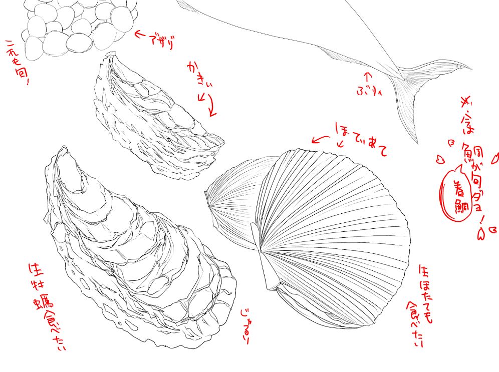 【元】魚屋が描く活貝たちの線画と魚屋さんのポスター、全体のラフ
生牡蠣食べたい!春鯛も食べたい!おさかな食べたい! 