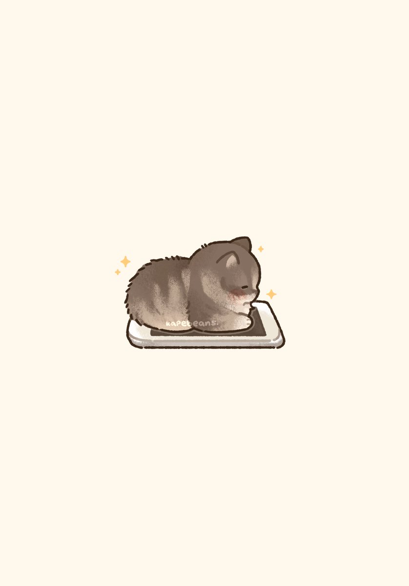 kapebeansies's tweet photo. I offer you chonks! ✨ #CuteShare https://t.co/dwi7N8vaJk