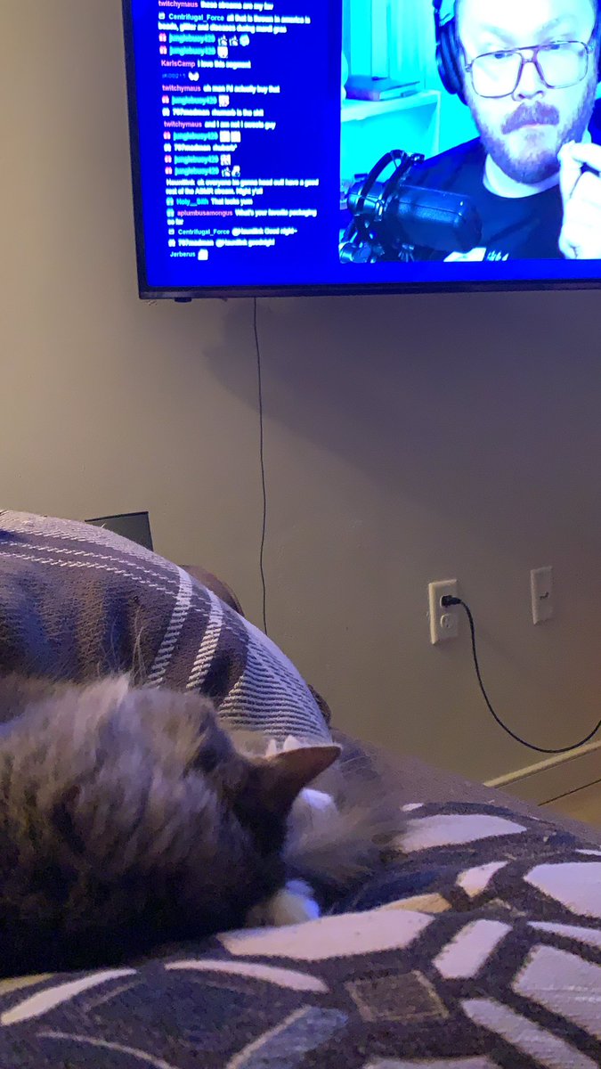 ConnorHutteball's tweet photo. @jonsmiff you called out my cat Rainy on your ASMR stream tonight and I’m paying the cat tax. https://t.co/3UX9O2OvbH