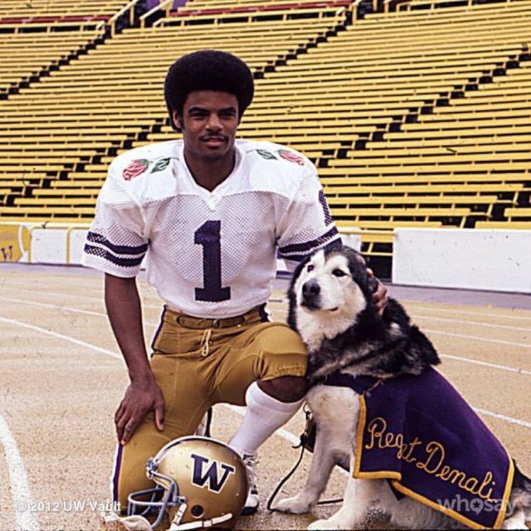 Super70sSports's tweet photo. Here's Warren Moon and a dog in a purple cape because you deserve it. https://t.co/gl2olaQjNE