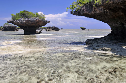 We're visiting Quirimbas National Park. It's made up of 11 of the southernmost Quirimbas islands & also some of the mainland & was established in 2002. The park is home to elephants, lions, leopards, crocs & also various types of sea life such as turtles, dolphins & seahorses.