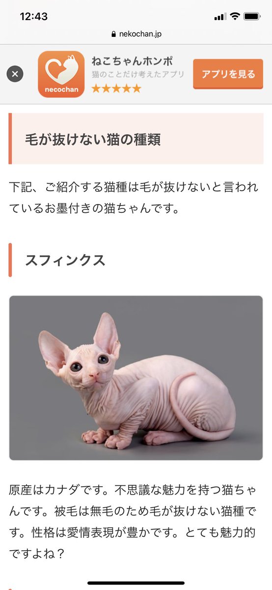 猫の種類のtwitterイラスト検索結果