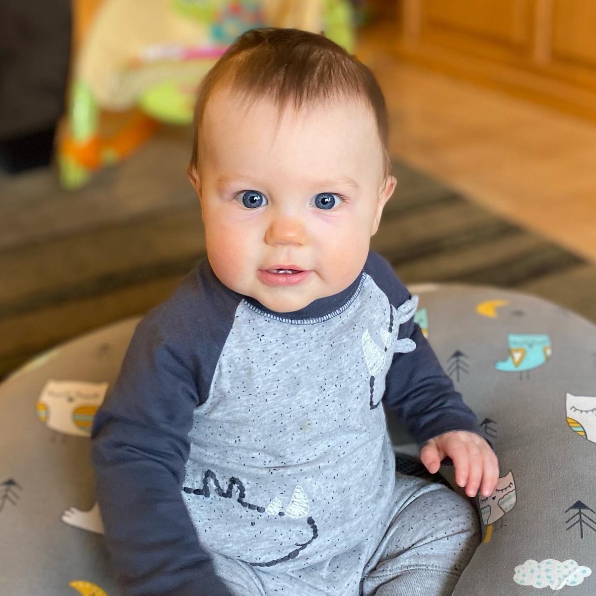 _S_Carroll's tweet photo. Sweet Callen...you warm my heart! #Callen2020 #almost8months https://t.co/yXhpqEXsDj
