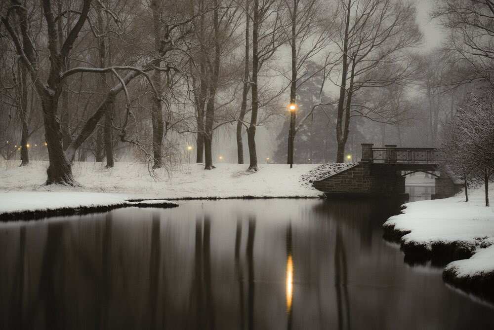 RoadBrook's tweet image. @tadayokun73 

#FollowTheAccount

#VipFriend🏃‍♀️⭐️⭐️⭐️