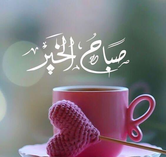 لصباح ☀️
 هدية مغلفة بأجمل 
ألوان الورد
تفوح منه رائحة الطيب
 لتبعث فينا روح الأمل🕊