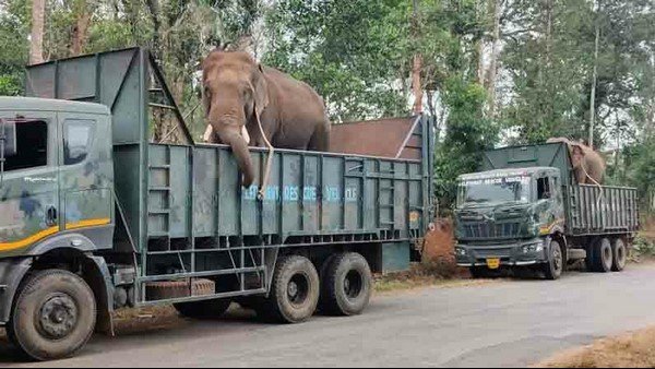 News18Kannada's tweet photo. #GroundReport
ಕೊಡಗಿನಲ್ಲಿ 25 ದಿನಗಳಿಂದ ಹುಲಿಗಾಗಿ ಹುಡುಕಾಟ.
ಇಂದು 150 ಅರಣ್ಯ ಇಲಾಖಾ ಸಿಬ್ಬಂದಿಯಿಂದ ಕಾರ್ಯಾಚರಣೆ.
ಶಾರ್ಪ್ ಶೂಟರ್​ಗಳಿಂದ ಹುಲಿ ಹುಡುಕಾಟ.
ಆಪರೇಷನ್ ತಂಡದಲ್ಲಿ ಸೋಲಿಗರು.
ಅತಿದೊಡ್ಡ ಕಾರ್ಯಾಚರಣೆಯ ಅತಿದೊಡ್ಡ ಕವರೇಜ್ ನ್ಯೂಸ್18 ಕನ್ನಡದಲ್ಲಿ.

#TrustNews18Kannada #SaveTiger #TigerOperation #Tiger #Coorg https://t.co/DG47YnSIxc