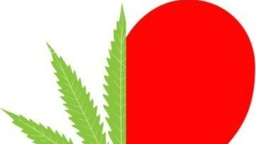 🙏🏼Thank you for supporting our ❤month initiative &amp; the H+S foundation! We will contact participants to arrange swag &amp; showcase some great Pink Lemonade😊
#34Streetseedco
#Anccannabis
#canadiancannabiscommunity