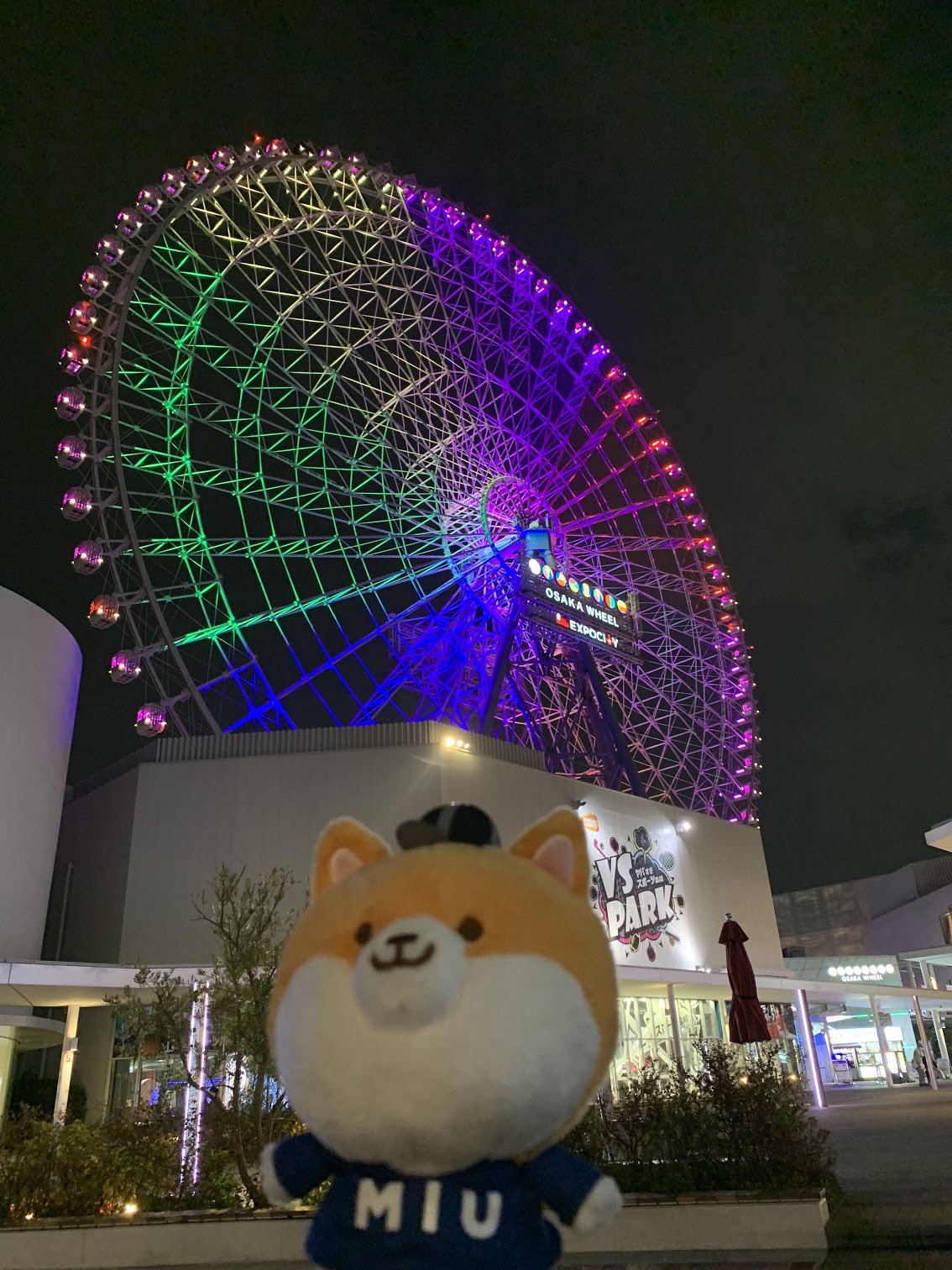 公式】TBSドラマ『MIU404』 on X: 